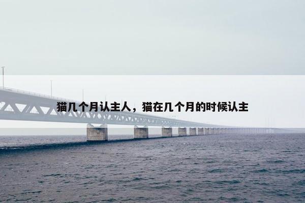 猫几个月认主人，猫在几个月的时候认主