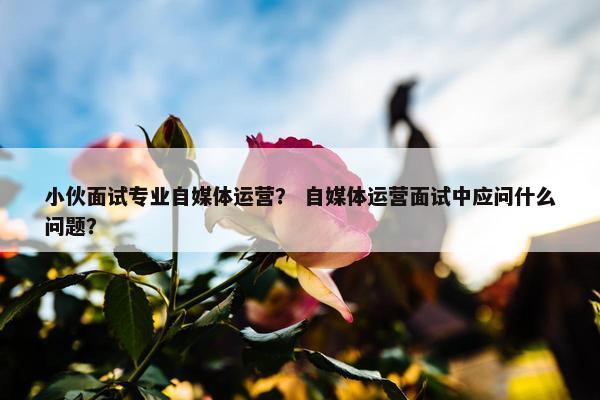 小伙面试专业自媒体运营？ 自媒体运营面试中应问什么问题？