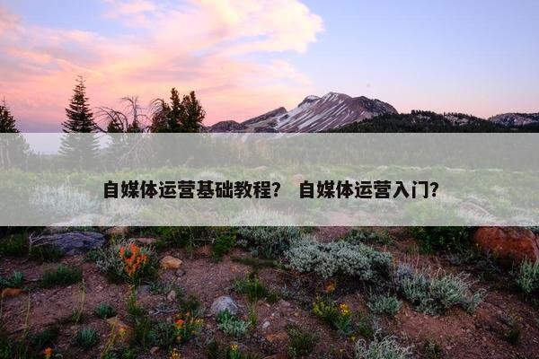 自媒体运营基础教程？ 自媒体运营入门？