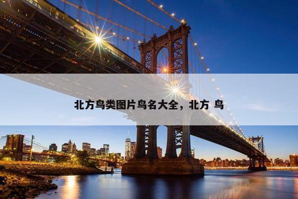 北方鸟类图片鸟名大全，北方 鸟