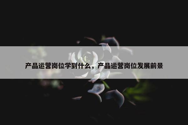 产品运营岗位学到什么，产品运营岗位发展前景