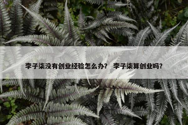 李子柒没有创业经验怎么办？ 李子柒算创业吗？