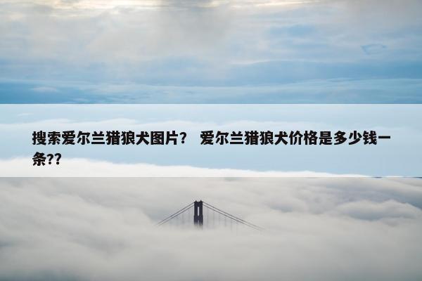 搜索爱尔兰猎狼犬图片？ 爱尔兰猎狼犬价格是多少钱一条?？