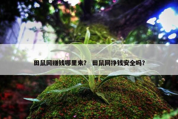 田鼠网赚钱哪里来？ 田鼠网挣钱安全吗？