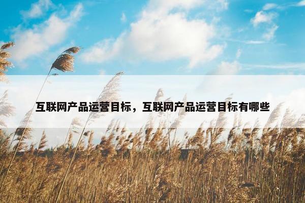 互联网产品运营目标，互联网产品运营目标有哪些