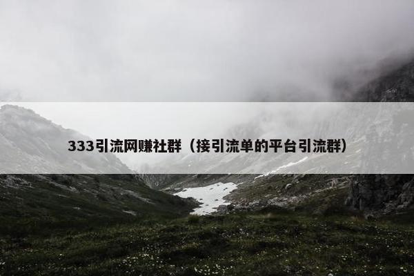 333引流网赚社群（接引流单的平台引流群）