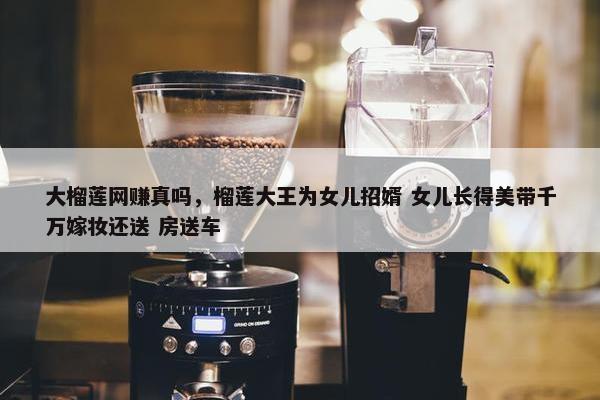 大榴莲网赚真吗，榴莲大王为女儿招婿 女儿长得美带千万嫁妆还送 房送车