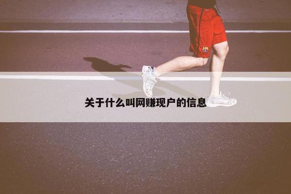 关于什么叫网赚现户的信息