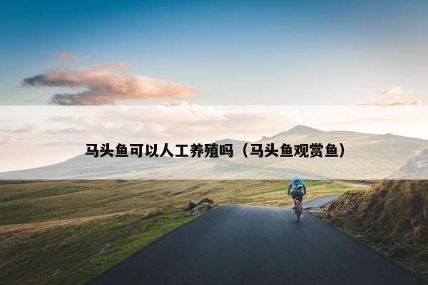 马头鱼可以人工养殖吗（马头鱼观赏鱼）