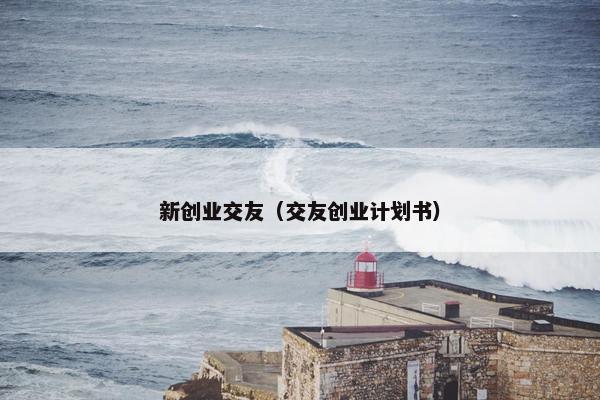 新创业交友（交友创业计划书）