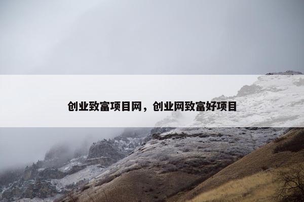 创业致富项目网，创业网致富好项目