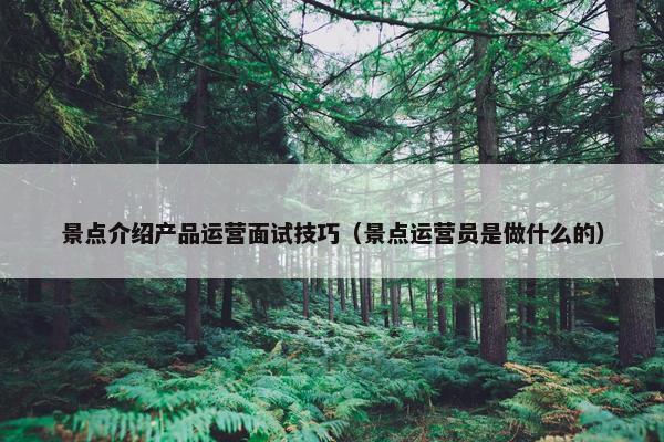 景点介绍产品运营面试技巧（景点运营员是做什么的）
