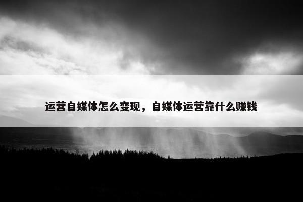 运营自媒体怎么变现，自媒体运营靠什么赚钱