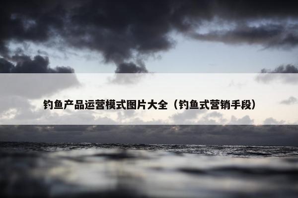 钓鱼产品运营模式图片大全（钓鱼式营销手段）