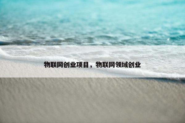 物联网创业项目，物联网领域创业