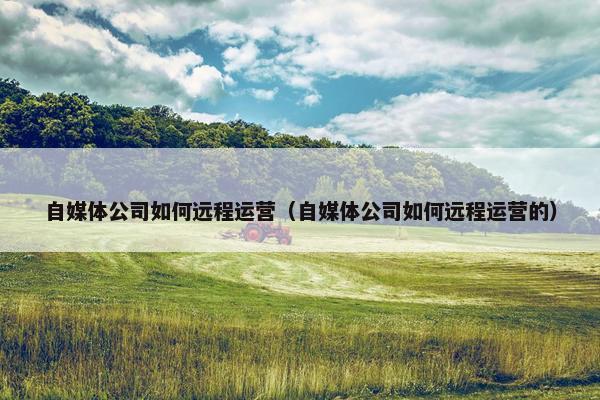 自媒体公司如何远程运营（自媒体公司如何远程运营的）