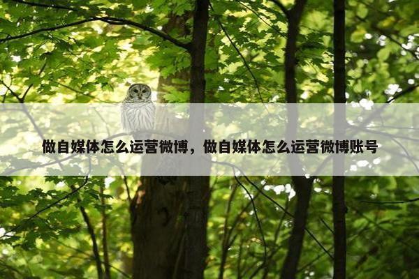 做自媒体怎么运营微博，做自媒体怎么运营微博账号