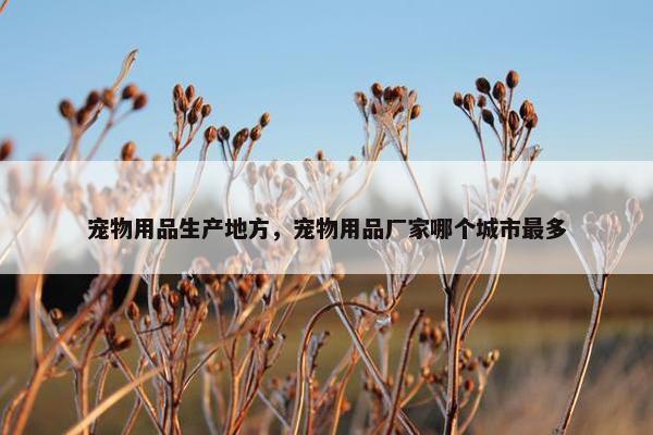 宠物用品生产地方，宠物用品厂家哪个城市最多