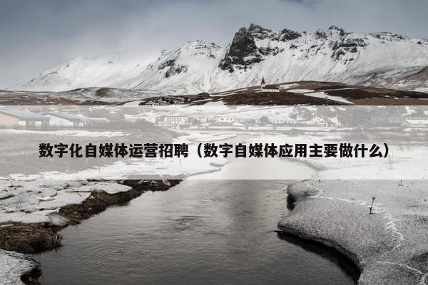 数字化自媒体运营招聘（数字自媒体应用主要做什么）