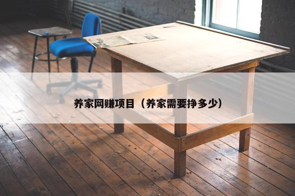 养家网赚项目（养家需要挣多少）