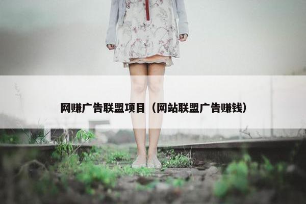 网赚广告联盟项目（网站联盟广告赚钱）