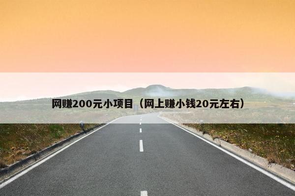 网赚200元小项目（网上赚小钱20元左右）