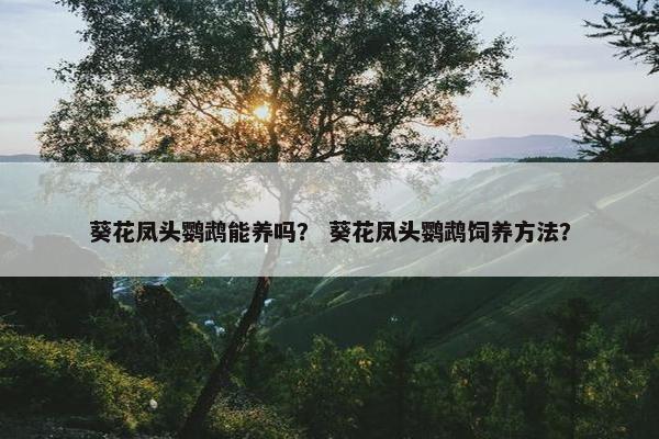 葵花凤头鹦鹉能养吗？ 葵花凤头鹦鹉饲养方法？