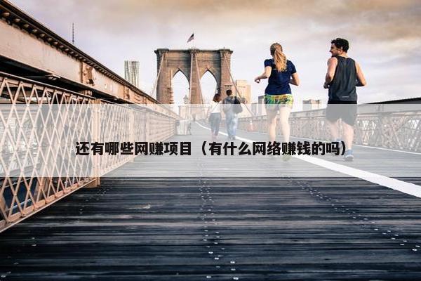 还有哪些网赚项目（有什么网络赚钱的吗）