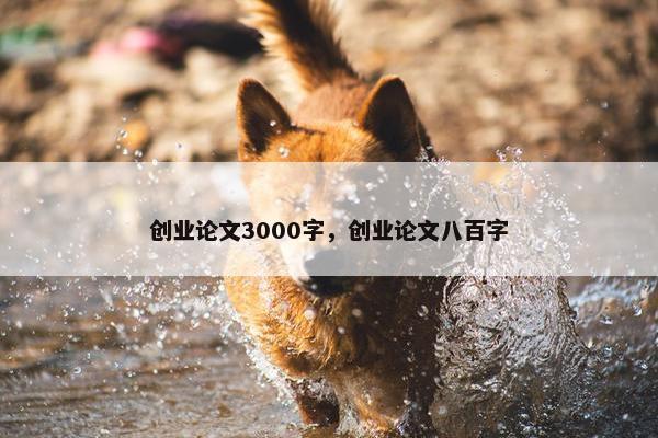 创业论文3000字，创业论文八百字