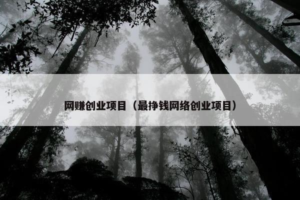 网赚创业项目（最挣钱网络创业项目）