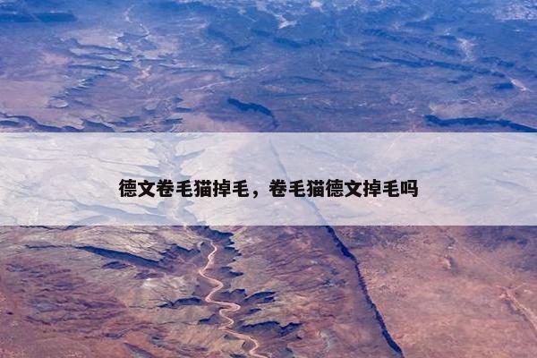 德文卷毛猫掉毛，卷毛猫德文掉毛吗