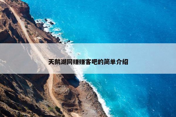 天鹅湖网赚赚客吧的简单介绍