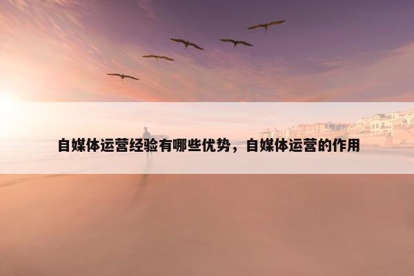 自媒体运营经验有哪些优势，自媒体运营的作用