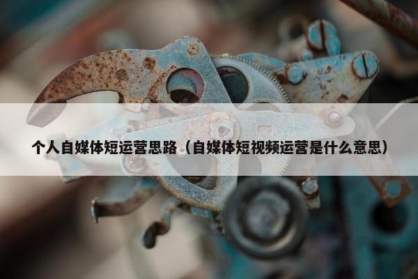 个人自媒体短运营思路（自媒体短视频运营是什么意思）