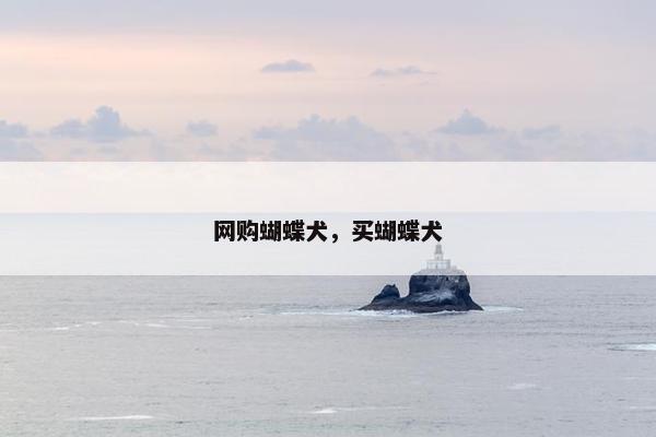 网购蝴蝶犬，买蝴蝶犬