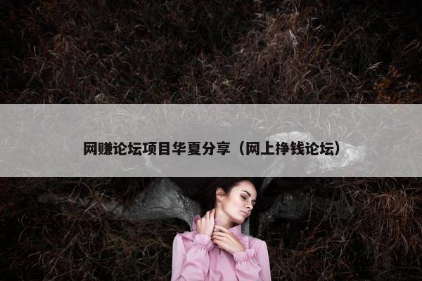 网赚论坛项目华夏分享（网上挣钱论坛）