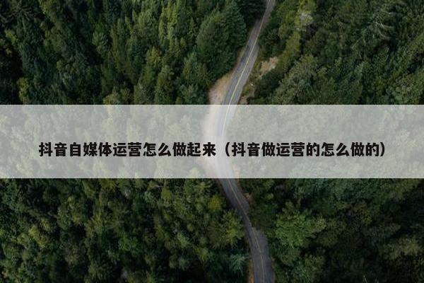 抖音自媒体运营怎么做起来（抖音做运营的怎么做的）