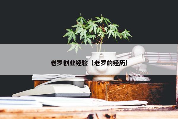 老罗创业经验（老罗的经历）