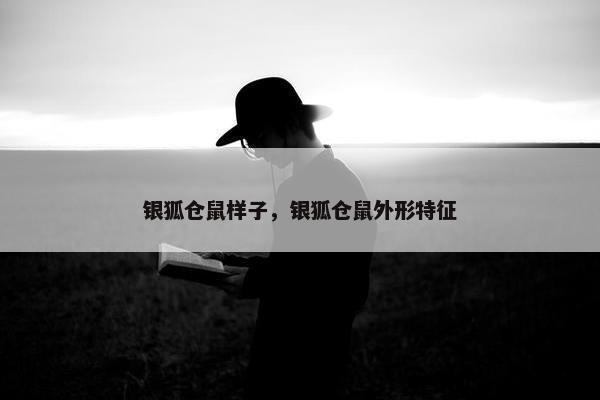 银狐仓鼠样子，银狐仓鼠外形特征