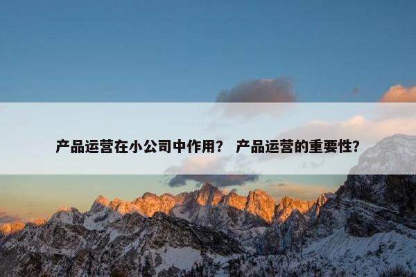 产品运营在小公司中作用？ 产品运营的重要性？