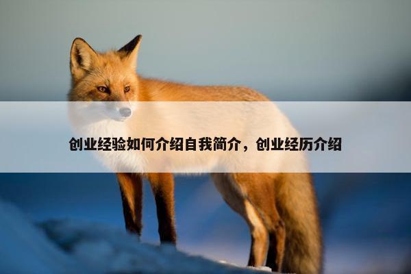 创业经验如何介绍自我简介，创业经历介绍