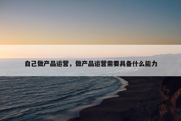 自己做产品运营，做产品运营需要具备什么能力