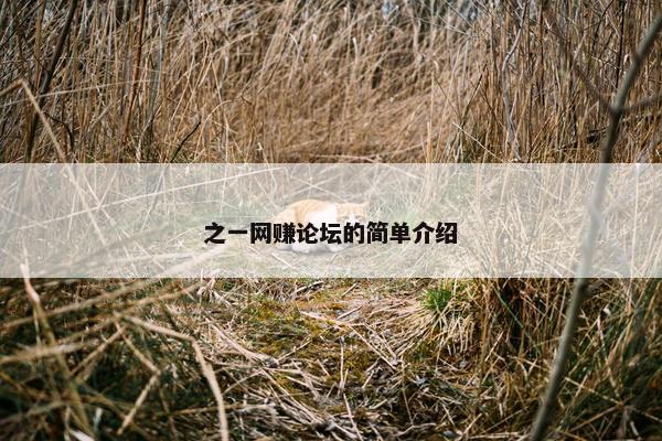 之一网赚论坛的简单介绍