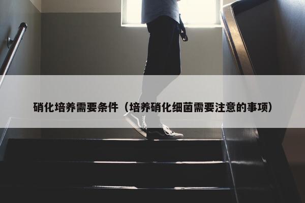 硝化培养需要条件（培养硝化细菌需要注意的事项）