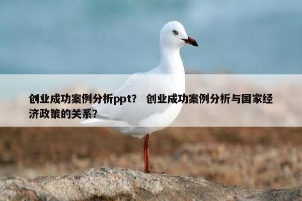 创业成功案例分析ppt？ 创业成功案例分析与国家经济政策的关系？