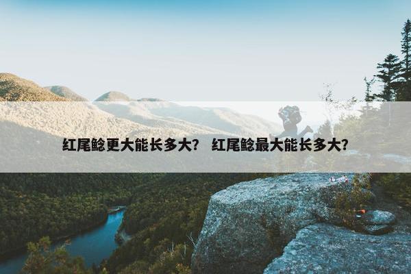 红尾鲶更大能长多大？ 红尾鲶最大能长多大？