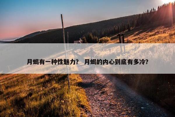 月蝎有一种性魅力？ 月蝎的内心到底有多冷？
