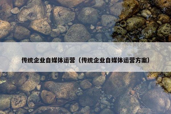 传统企业自媒体运营（传统企业自媒体运营方案）