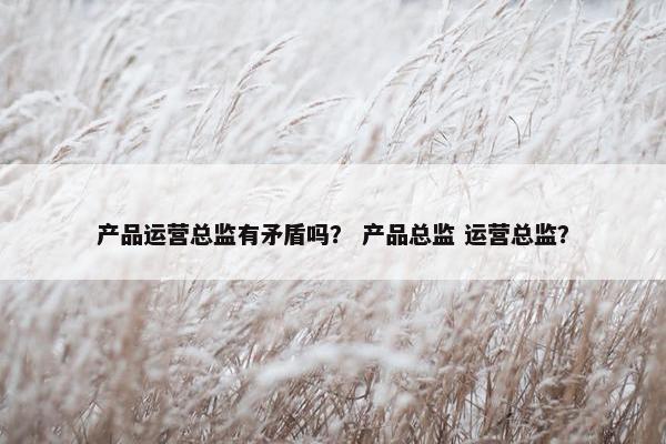 产品运营总监有矛盾吗？ 产品总监 运营总监？