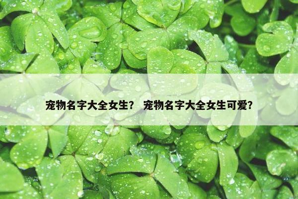 宠物名字大全女生？ 宠物名字大全女生可爱？